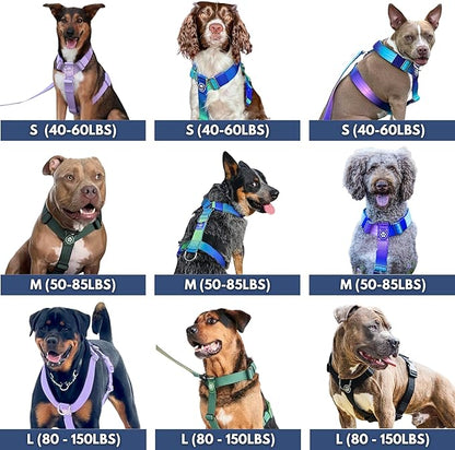 Spark Paws No Pull Dog Harness for Large Dogs, Heavy Duty Dog Harness for Big Strong Breeds, Adjustable, Y Shaped Padded Halter Design with Front Clip - Lime Wave - S