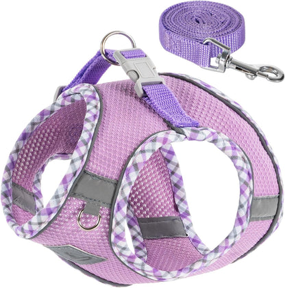 Dog Harness and Leash Set, No Pull Soft Breathable Adjustable Reflective Step In Vest Harness for Puppy, Kitten, Cats