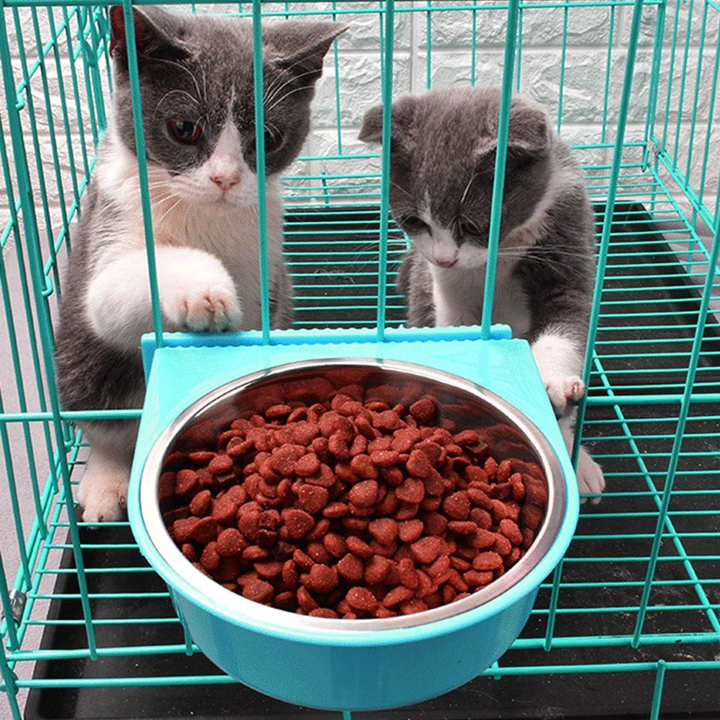 Crate Dog Bowl Removable Stainless Steel Water Food Feeder Bowls Cage Coop Cup for Cat Puppy Bird Pets (Small, Blue with Corrugated Clip)