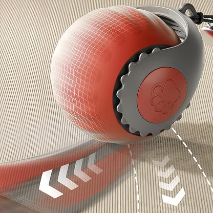 Upgraded ‘Racing Tail 5.0 ’Indoor Cat Interactive Toy: Sensor Cat Teasing Ball, Pet Electronic Chasing and Exercise Toy, Specially Designed for Bored Cats, Two Modes & One-Click Switching (2 pcs)