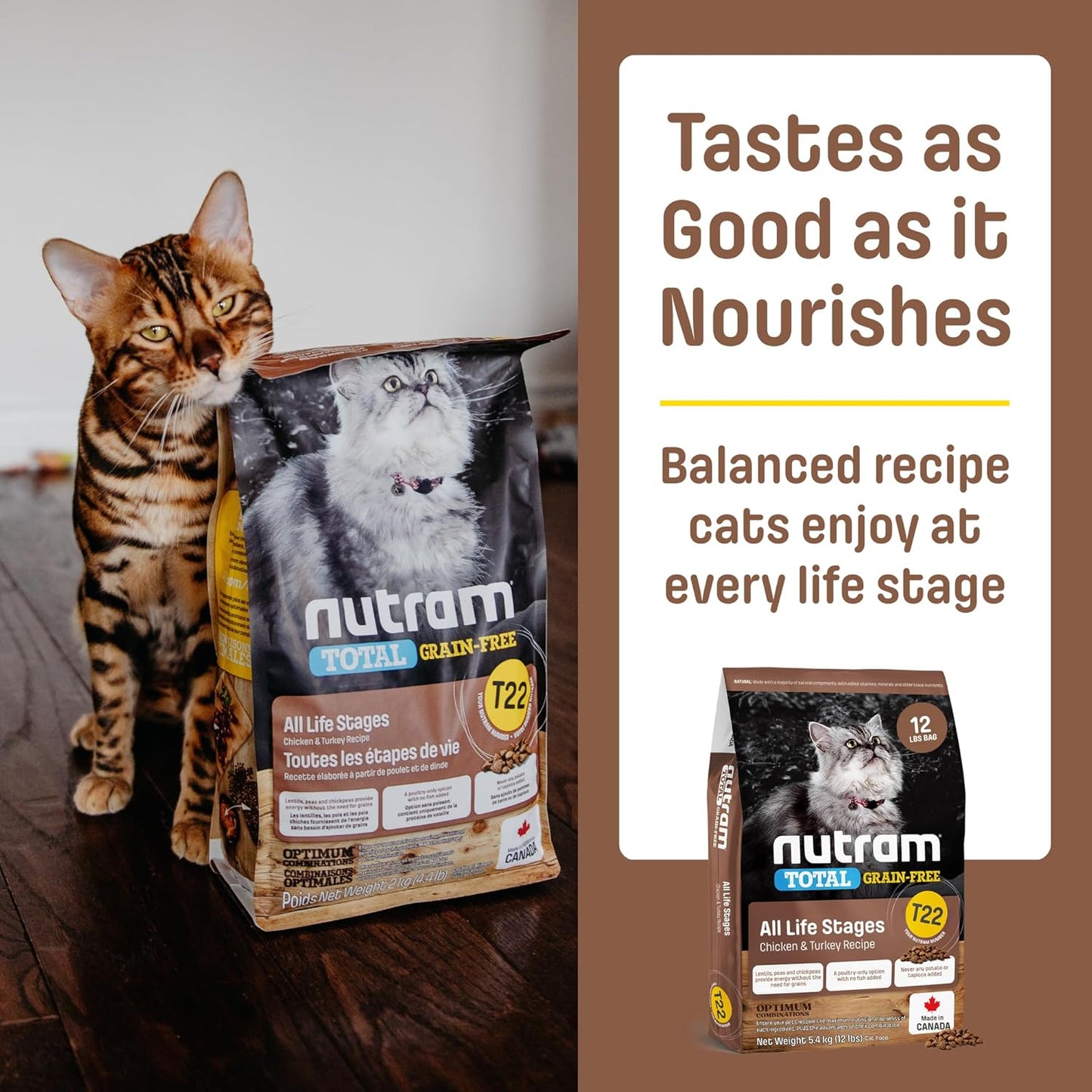 T22 Grain-Free Cat Food – Chicken & Turkey Dry Kibble | Holistic andHigh Protein, Urinary Support, Clean Nutrition for Adult Cats & Kittens | Supports a Strong Immune System (4.4 Pounds)