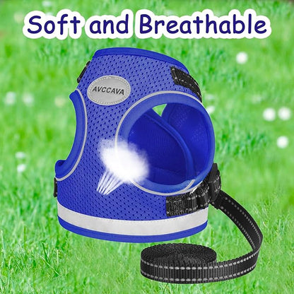 Cat Harness and Leash for Walking, Kitten Escape Proof Harnesses, Adjustable Reflective Puppy Harness with Leashes Set, Easy Adjustable Soft net Breathable Pet Safety Vest