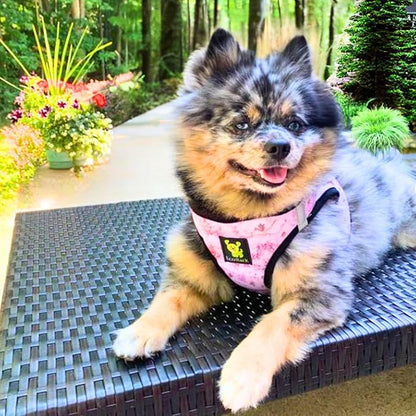 EcoBark Step in Dog Harness - Reflective Soft Luxurious Mesh Dog Harnesses for XXS, XS, Small, and Medium Dogs - Eco-Friendly Comfort Secure Halter No Pull Adjustable Pet Vest (Floral, Medium)