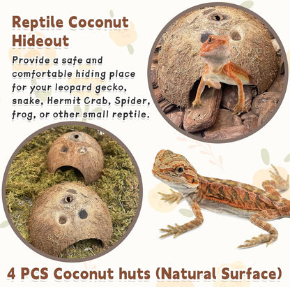 PINVNBY Natural Coconut Reptile Hideouts Lizard, Coco Hut Hermit Crab Hut Aquarium Fish Hide Cave for Small Reptile Crested Gecko Leopard Gecko Spider Snail Climber Toys (4 PCS Natural Surface)