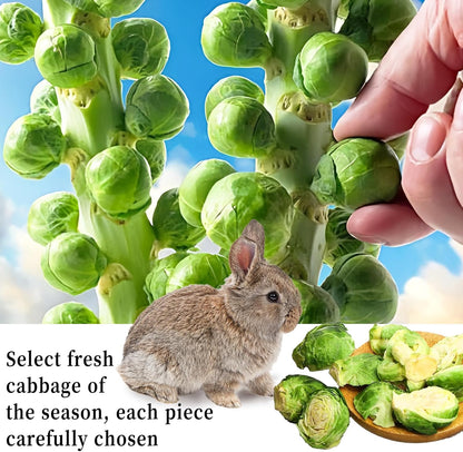 Hamiledyi Rabbit Treats Small Pets Chew Toys Bunnies Guinea Pigs Hamsters Chinchillas Rodents Dried Natural Mix Container Feeding Foraging Treats (13.8OZ)