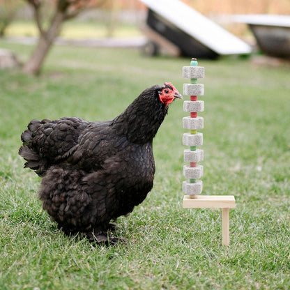 Oooct 2 Pack Chicken Chewing Toy, Chick Beak Grinding Calcium Stone with Wood Stake, Chicken Cage Accessories, Cage Toys for Cockatiel Parakeet Parrot Budgies Rat Hamster Rabbit Bunny African Grey