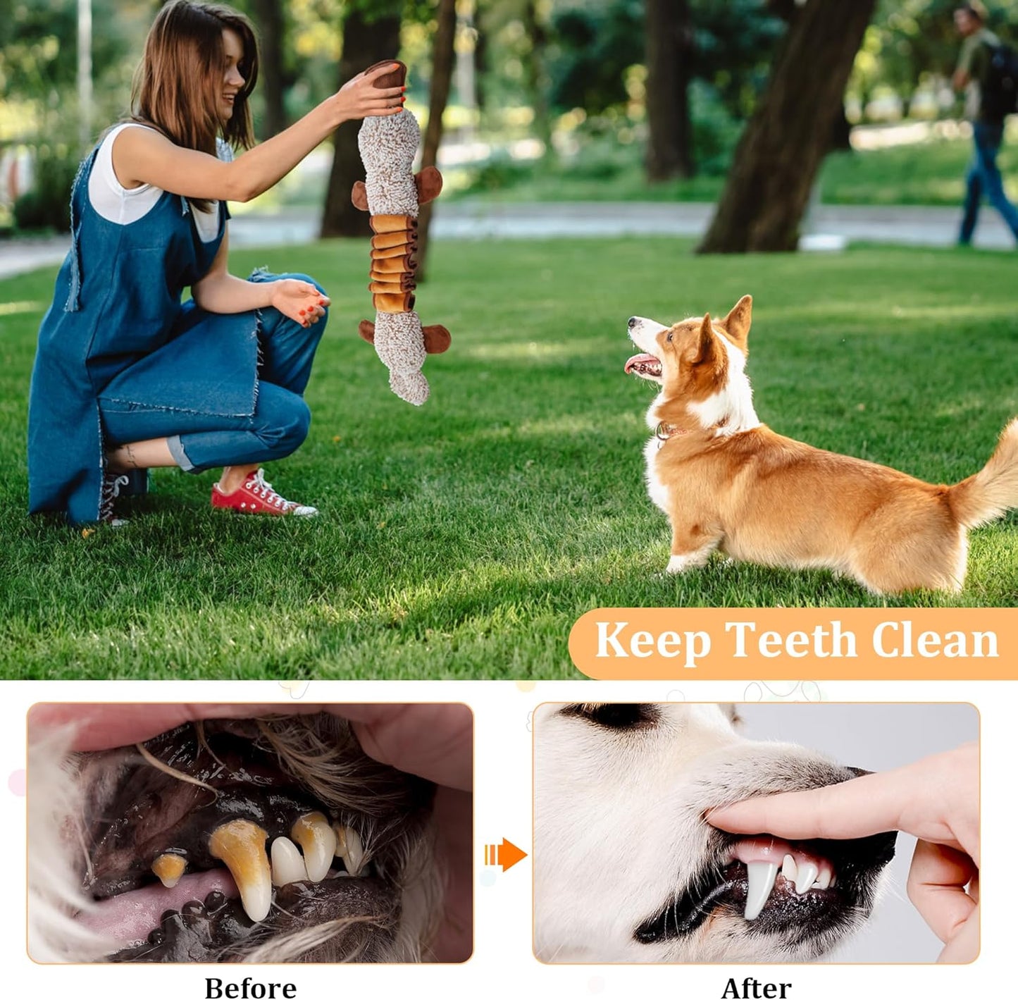 Squeaky Dog Toys, Stuffed Large Dog Toys to Keep Them Busy, Interactive Plush Chew Toys with Crinkle Paper, Tough Pet Animal Toys for Small Medium Large Dogs - Platypus