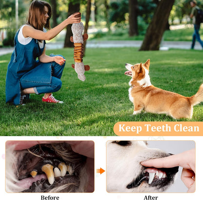 Squeaky Dog Toys, Stuffed Large Dog Toys to Keep Them Busy, Interactive Plush Chew Toys with Crinkle Paper, Tough Pet Animal Toys for Small Medium Large Dogs - Platypus