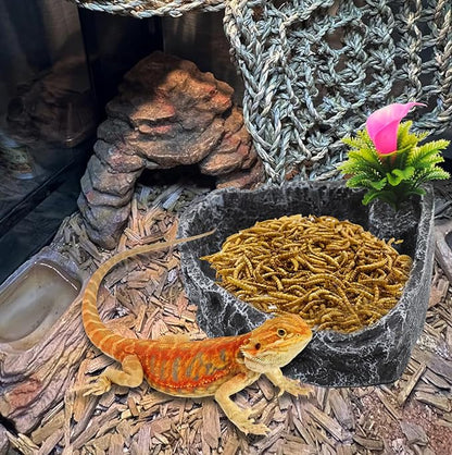 Reptile Water Dish Food Bowl,Corner Rock Terrarium Feeding Bowl Hermit Crab Water,Reptile Feeder Food and Water Dish,Tortoise, Lizard, Gecko, Chameleon, Bearded Dragon