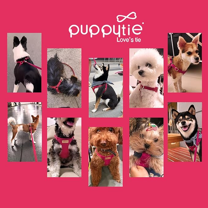 Puppytie No Pull Small Dog Harness with Multifunction Dog Leash,Lightweight Soft Adjustable No Choke Escape Proof Pet Harness Vest Pet Harness Vest,red,S