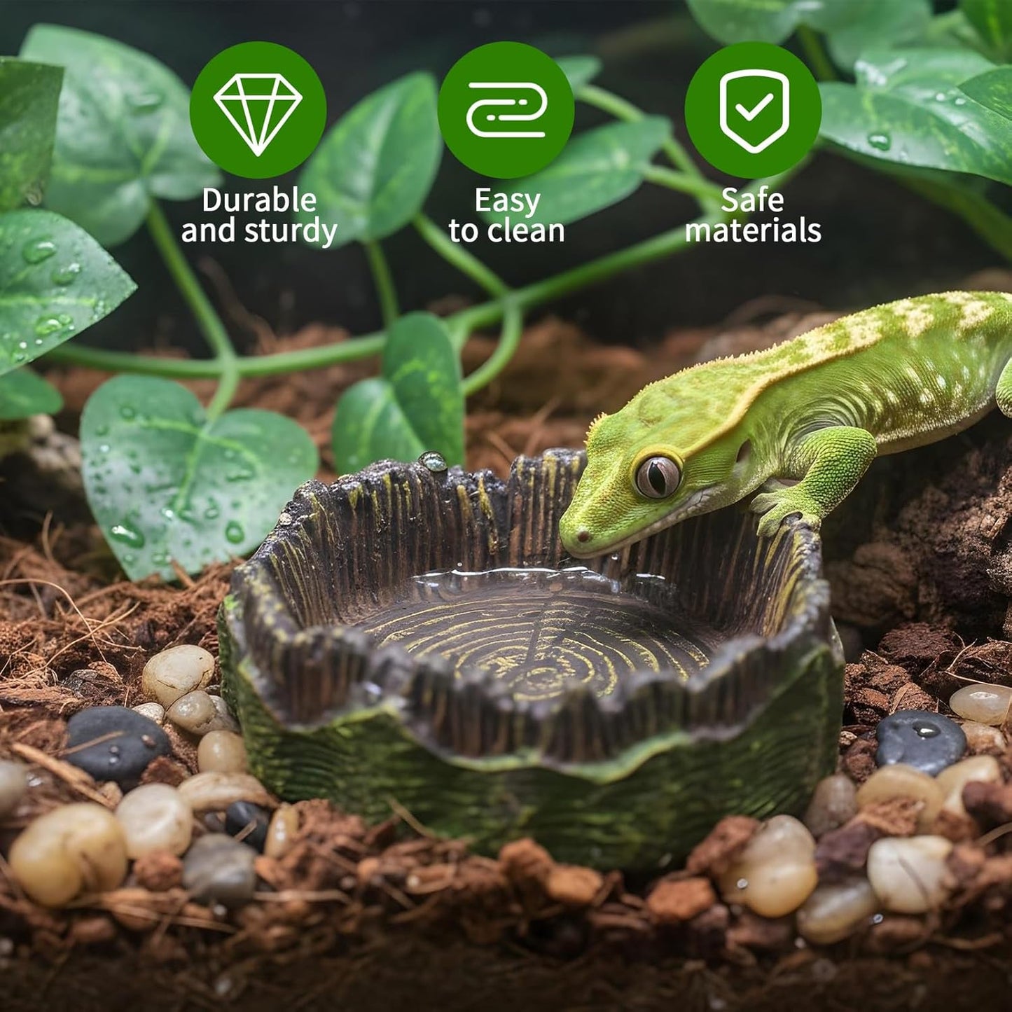 3Pcs Reptile Water Dish Hermit Crab Water Bowl Small Reptile Feeding Dish for Bearded Dragon Lizard Leopard Gecko