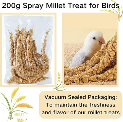 Bird Seed Parakeet Food - 200 Gram Vacuum Sealed Millet Treat for Birds Parakeets Natural Sun-Dried Birds Millet for Cockatiel Budgie Finches Parrots