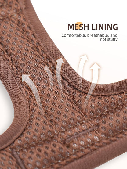 Blue Small No Pull Dog Harness for Small Dogs, Anti-Escape Easy Walk Puppy Harness with 2 Leash Clips, Adjustable Dog Vest Harness for Training Walking(Blue, S)