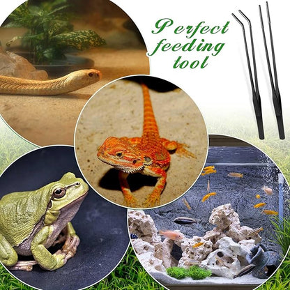 Lasnten 2 Pcs Extra Long Stainless Steel Reptile Feeding Tongs with Rubber Tip Bearded Dragon Aquarium Straight and Curved Long Tweezer Terrarium Feeder Tool for Tank(Black, 10 Inch, 10.5 Inch)