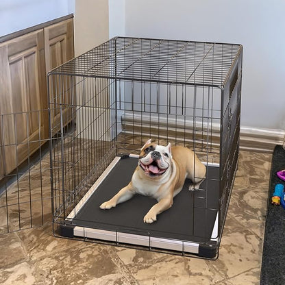 FXW TitanNest Chew-Proof Elevated Dog Bed, Raised Cot for Indoor/Outdoor/Camping Use, Durable & Washable Padded Pet Bed for Small Dogs, 35.0" L x 22.0" W x 4.5" H, Black