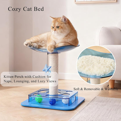 Modern 3-in-1 Interactive Cat Toy with Puzzle Box, Cat Bed/Perch & Scratching Posts, Colorful Jingle Balls, Dangling Accent, Puzzle Toys for Indoor Cats, Acrylic, Blue