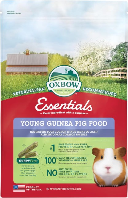 Oxbow Essentials Young Guinea Pig Food, Guinea Pig Pellets Made with Timothy Hay, Stabilized Vitamin C, Small Animal Pet Products, Small Animal Food Made in USA, High Fiber, 10 lb. Bag