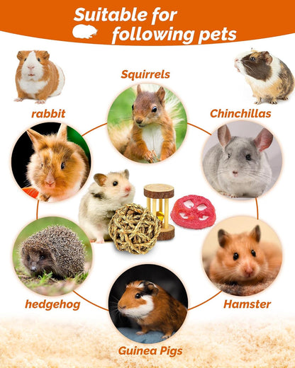 Hamster & Guinea Pig Toys - 18 Pcs Wooden Small Animal Chew Toys for Teeth - Rabbit, Chinchilla, Gerbils, Rats Exercise Accessories