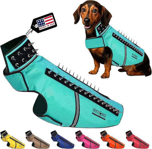 CoyoteVest SpikeVest Dog Harness Vest for Small Dogs, Reflective Dog Vest with Spikes to Shield Your pet from Coyotes, Raptor and Animal Attacks, Anti Hawk Vest, Made in USA (L-Turquoise)