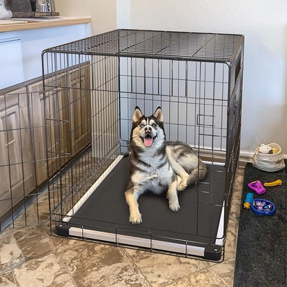 FXW TitanNest Chew-Proof Elevated Dog Bed, Raised Cot for Indoor/Outdoor/Camping Use, Durable & Washable Padded Pet Bed for Medium Dogs, 41.0" L x 27.0" W x 5.0" H, Black