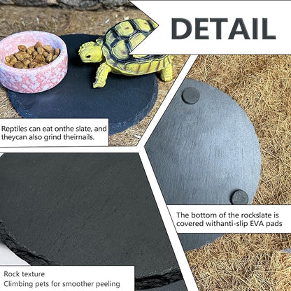 Reptile Basking Platform 6.0IN Turtle Rock Slate Plate Food Bowl Feeding Dish Tortoise Bathing Resting Terrace for Bearded Dragon Chameleon Gecko Snake Lizard Frog Newt