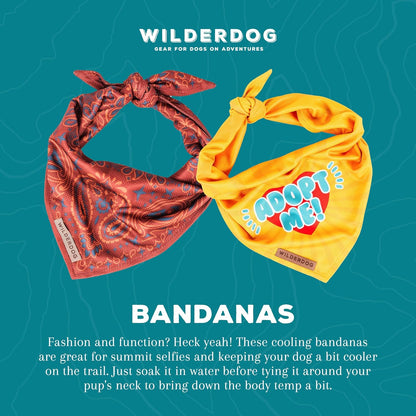 Wilderdog Dog Bandana with Lightweight Quick Drying Poly-Blend Mesh Material in Daisy