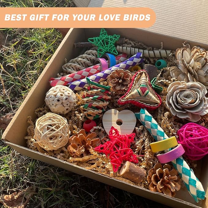 Bird Foraging & Bird Shredding Toys Box,Natural Chewing and Foraging Toys for Cockatiels,Parakeets,Conures,Love Birds & Small to Medium Parrots
