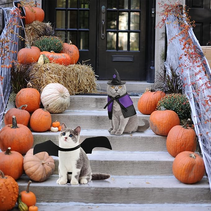 Frienda 3 Pieces Cat Halloween Vampire Costume Includes Vampire Costume Cloak Wizard Hat and Cat Bat Wings for Kittens Pet Halloween Party Cosplay Accessories(Purple,Star)