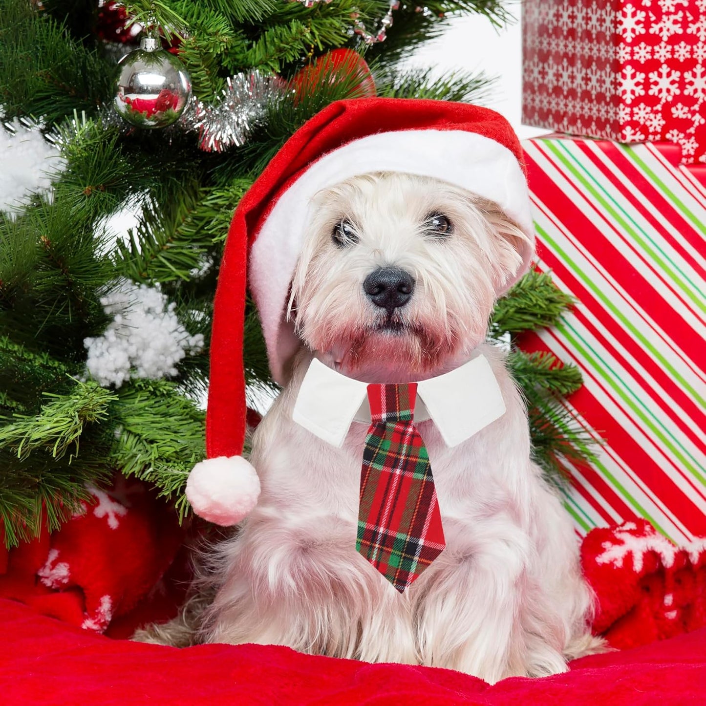 ADOGGYGO Christmas Dog Necktie Tuxedo, Red Plaid Pet Christmas Neck Tie Collar for Small Medium Large Dogs Pets (Medium)