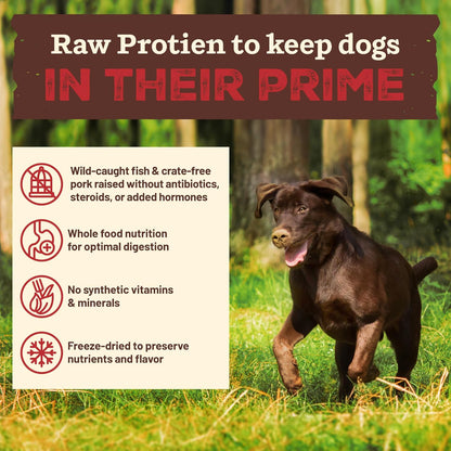Primal Kibble in The Raw, Freeze Dried Dog Food, Fish & Pork, Scoop & Serve, Made with Raw Protein, Whole Ingredient Nutrition, Crafted in The USA, Dry Dog Food 9 lb Bag