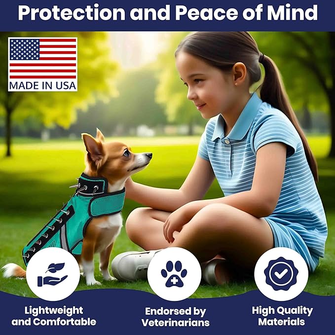 CoyoteVest SpikeVest Dog Harness Vest for Small Dogs, Reflective Dog Vest with Spikes to Shield Your pet from Coyotes, Raptor and Animal Attacks, Anti Hawk Vest, Made in USA (XXS-Turquoise)
