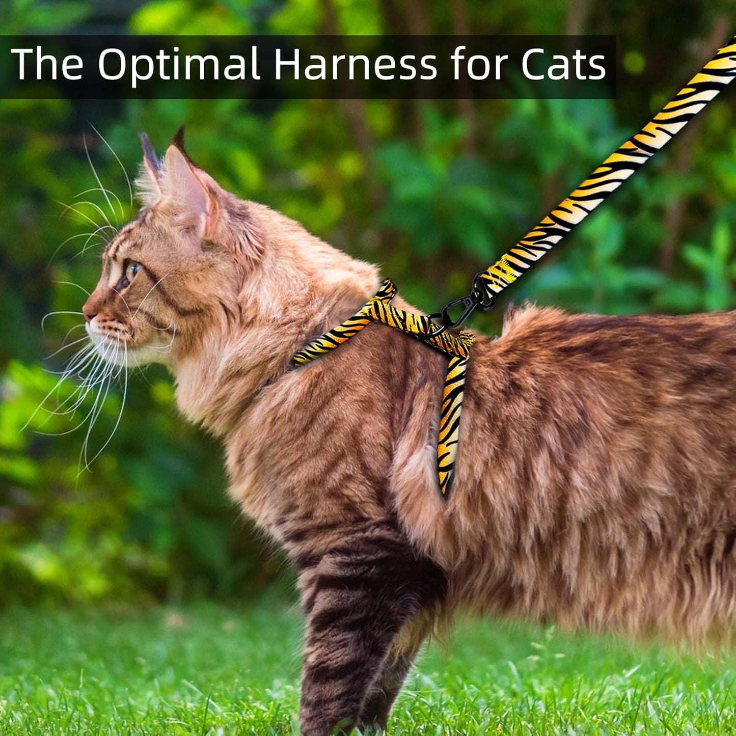 Cat Harness and Leash Escape Proof (S)