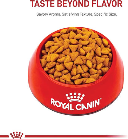 Royal Canin Feline Health Nutrition Indoor Adult Dry Cat Food, 7 lb Bag
