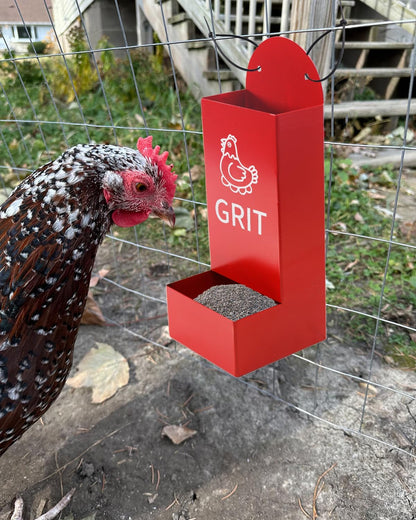 Chicken Oyster Shell Feeder and Grit Feeder Metal Chicken Feeder Chicken coop Accessories Automatic Chicken Feeder