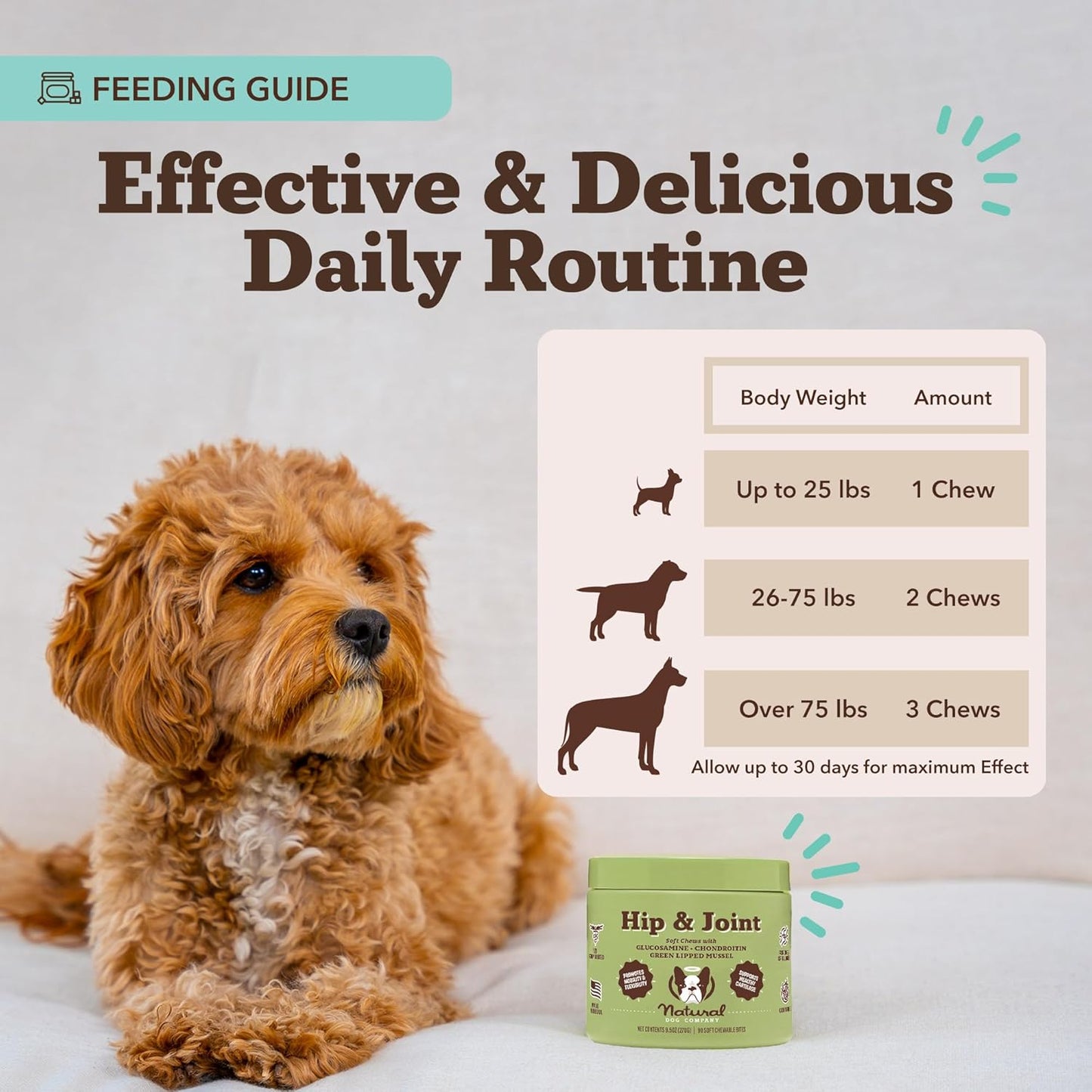 Natural Dog Company Hip & Joint Supplement for Dogs – Supports Mobility, Flexibility & Comfort, Glucosamine, Chondroitin, MSM & Turmeric, Chicken Flavor, 90 Count