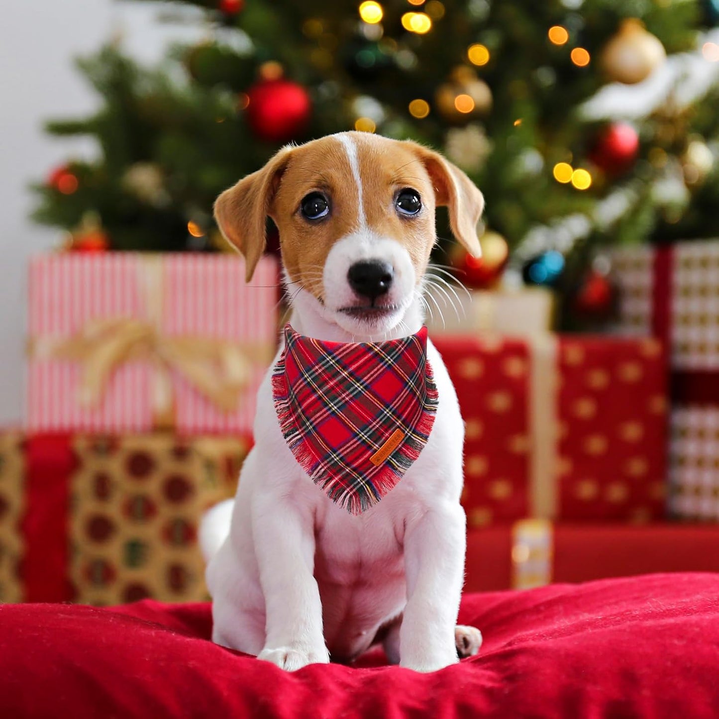 ADOGGYGO Christmas Dog Bandanas with Tassels, Stylish Plaid Dog Scarf Bib, Premium Cotton Fabric, Red Green Christmas Bandanas for Small Dogs Puppies (Small)