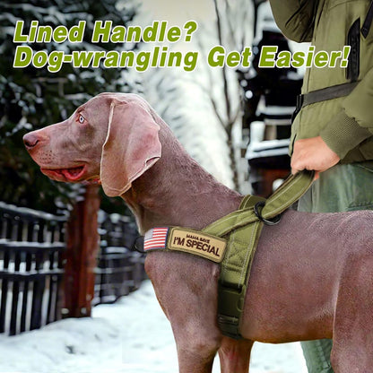 Forestpaw No Pull Dog Harness with Large Handle,Slip on Reflective Vest with Quick Release Buckle,Comfortable Flannel Lining for Medium Large Dogs Walking Training (Includes 3 Patches),Green L