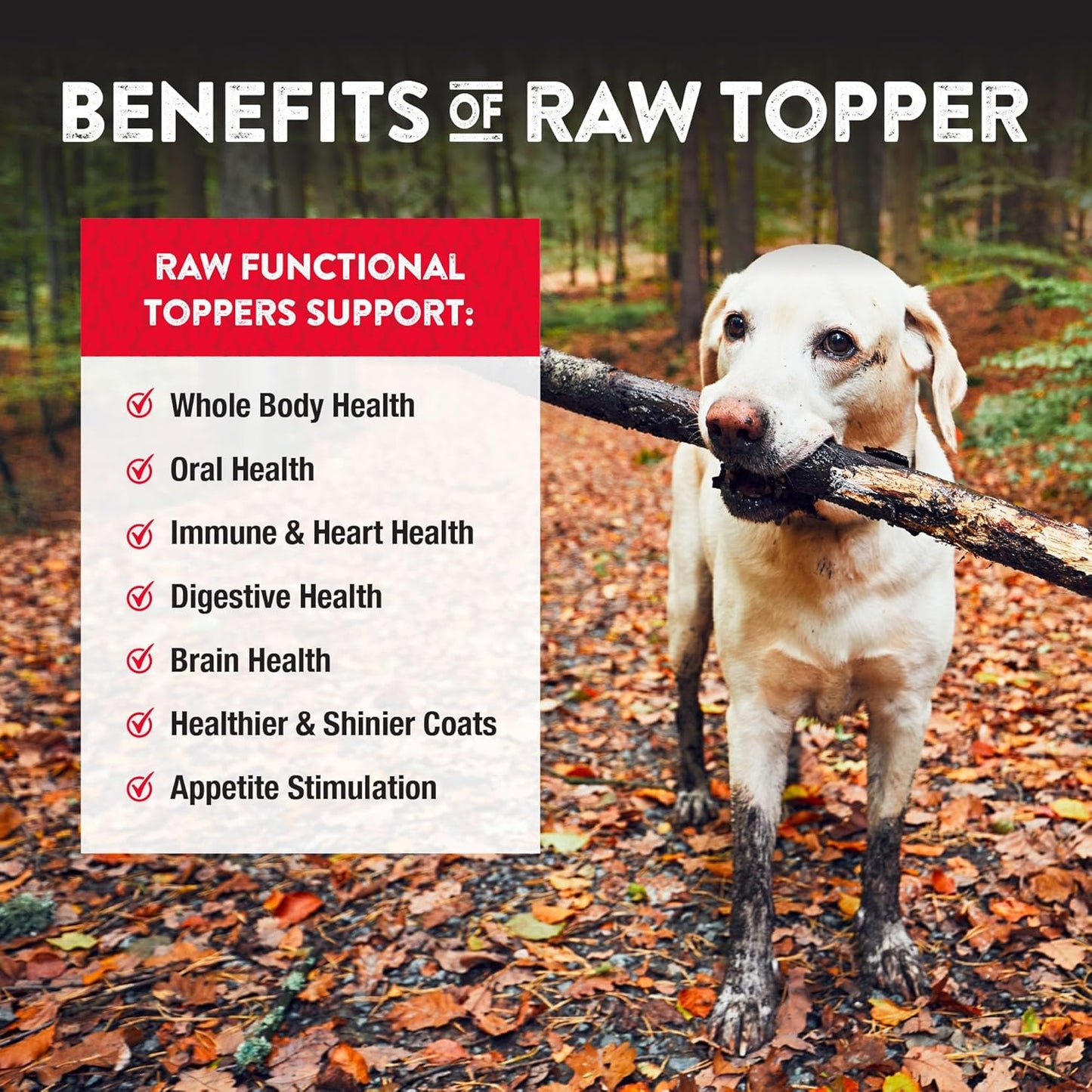 Northwest Naturals Freeze-Dried Beef Blood Functional Topper - for Dogs & Cats - Healthy, 1 Ingredient, Human Grade Ingredients, All Natural, Proudly Made in USA, 3.5 Oz (Pack of 2)