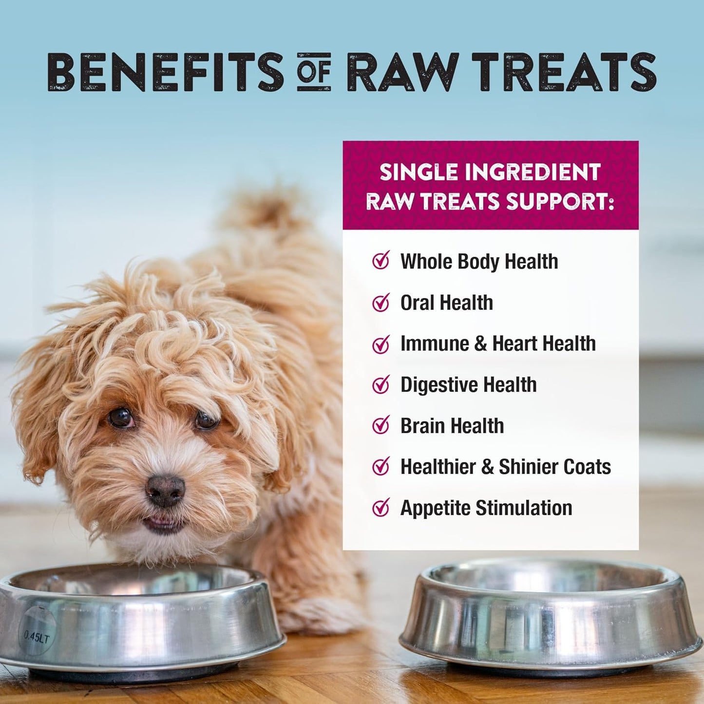 Northwest Naturals Raw Rewards Freeze-Dried Beef Heart Treats for Dogs and Cats - Bite-Sized Pieces - Healthy, 1 Ingredient, Human Grade Ingredients, All Natural, Proudly Made in USA, 3 Oz (Pack of 3)
