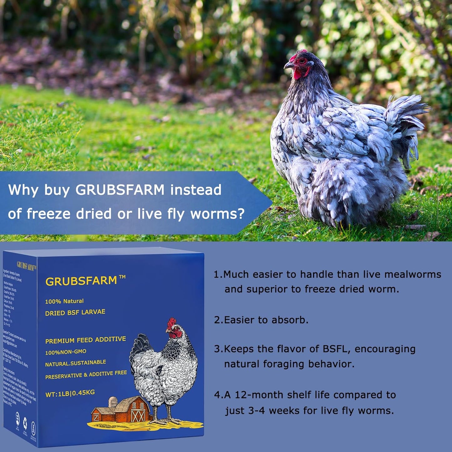 Premium Chicken Treats 1LB - Non-GMO & 85X More Calcium Than Meal Worms - Molting & Laying Supplement - BSF Larvae Treats for Layer Hens, Ducks Wild Birds