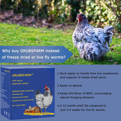Premium Chicken Treats 1LB - Non-GMO & 85X More Calcium Than Meal Worms - Molting & Laying Supplement - BSF Larvae Treats for Layer Hens, Ducks Wild Birds