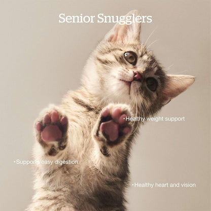 Now Fresh Grain-Free Senior Dry Cat Food with Turkey, Salmon & Duck, Premium Kibble Made with Real Meat & Fish, Chicken-Free Recipe, Supports Healthy Weight Management, 8 lb Bag