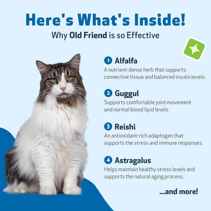 Pet Wellbeing Old Friend for Senior Cats - Supports Immune System Health, Joint Mobility, Healthy Energy Levels, Alfalfa, Reishi - Veterinarian-Formulated Herbal Supplement 4 oz (118 ml)