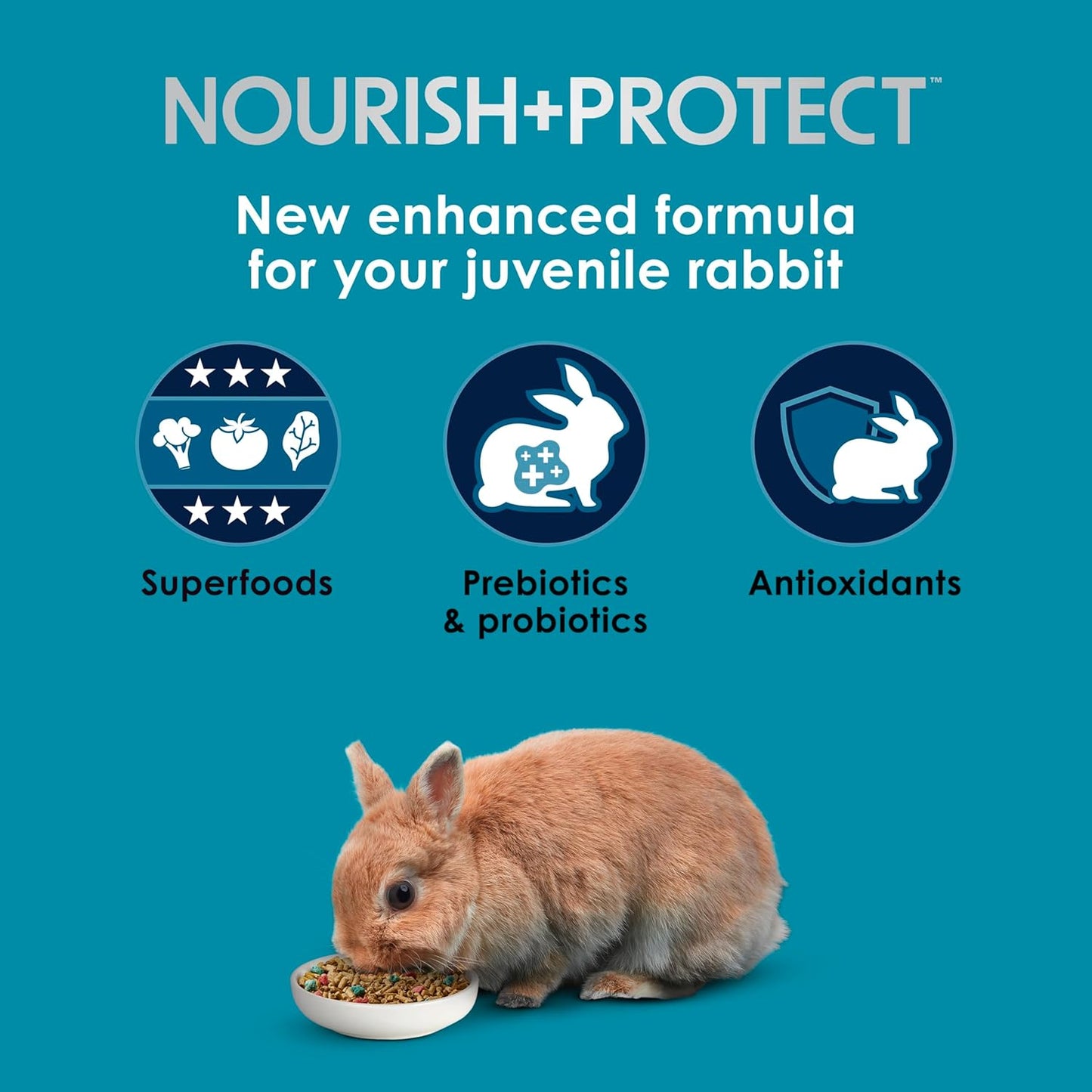 Kaytee Forti-Diet Pro Health Nourish+Protect Juvenile Rabbit Food, Comprehensive Nutrition Backed by Science, Digestive Health, Immune Support, 3 Pounds