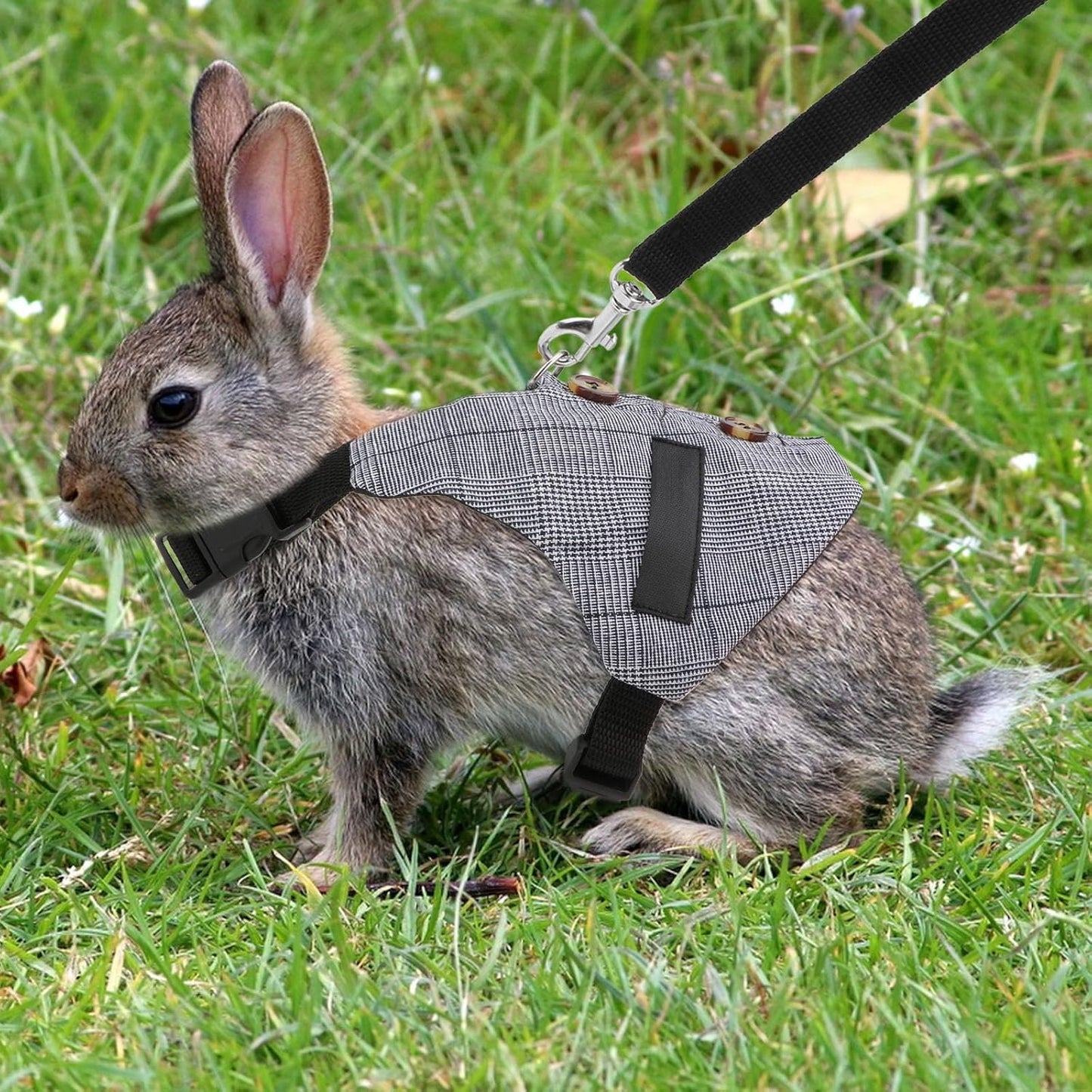 Rabbit Vest Harness and Leash Set Adjustable Formal Suit Style for Bunny Kitten Small Animal Walking (L)