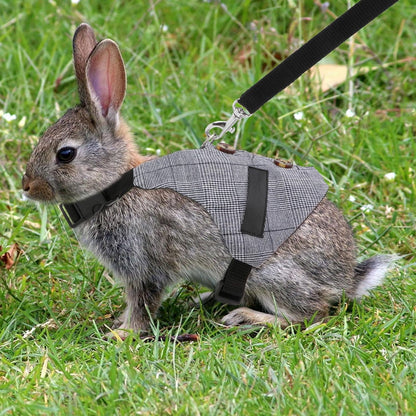 Rabbit Vest Harness and Leash Set Adjustable Formal Suit Style for Bunny Kitten Small Animal Walking (L)