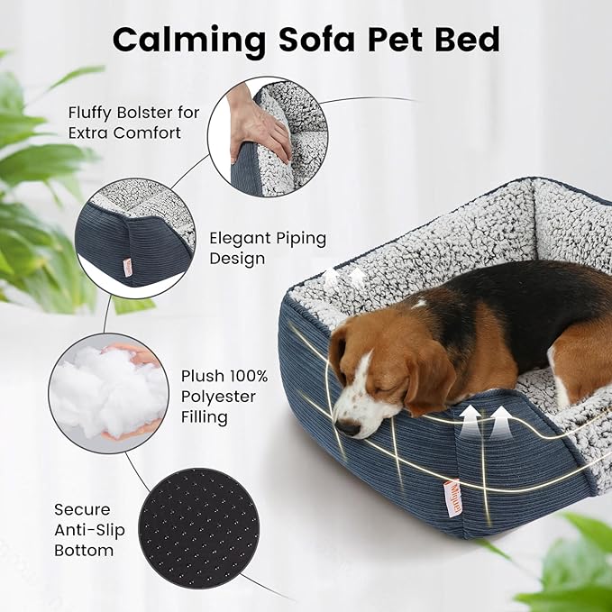 Miguel Washable Cat Bed for Indoor Cats With Removable Cushion, Easy to Wash Small Pet Sofa With Side, Rectangle Bolster Kitten Calming Cuddle Puppy Bed, Anti-Slip Bottom, Blue 20 Inch