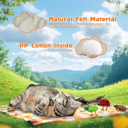 3 Pack Realistic Bug Catnip Cat Toys,Bell Sould Kitten Bite Interactive Kicker Toys for Cat's Natural Hunting