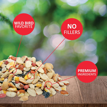 Lyric Fruit and Nut Wild Bird Seed, High Energy Wild Bird Food Mix, 20 lb. Bag