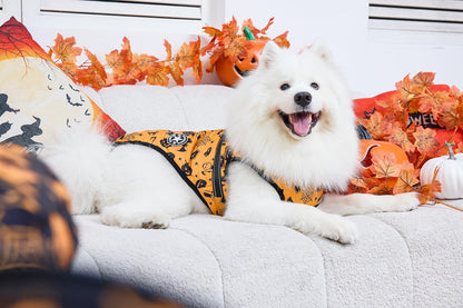 Aiboria Dog Jackets Windproof Outfit Coat Dog Vest Harness Puppy Warm Jacket Halloween Orange S